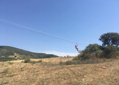 IMG 4856