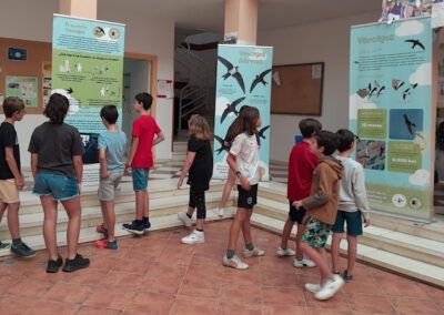 exposicion aves