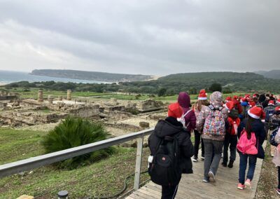 IMG 3972